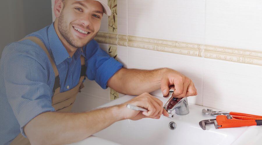 Professional Leak Detection Services services in Sainte Marie, IL